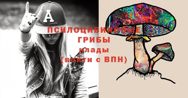 прущая мука Верхний Тагил