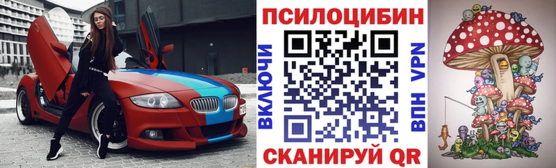 Псилоцибиновые грибы GOLDEN TEACHER  цены наркотик  Циолковский 