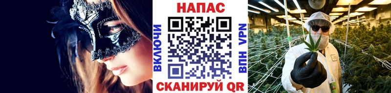 магазин продажи   Циолковский  KRAKEN ссылки  Бошки Шишки ГИДРОПОН 